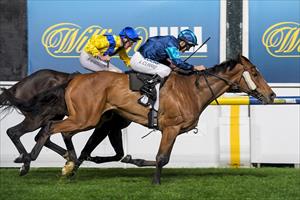 Master Reset wins the Mitchelton Wines Handicap at Moonee Valley on 21-10-16 Master Reset wins the Mitchelton Wines Handicap at Moonee Valley on 21-10-16